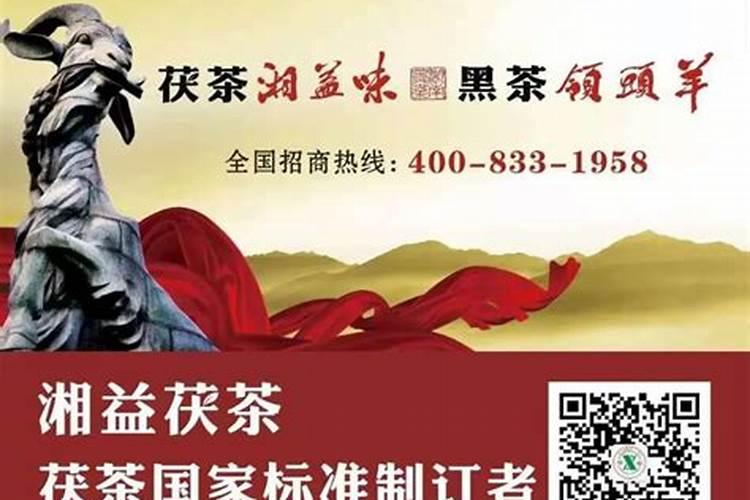 茶叶施磷肥选什么肥 茶叶施磷肥选哪种肥