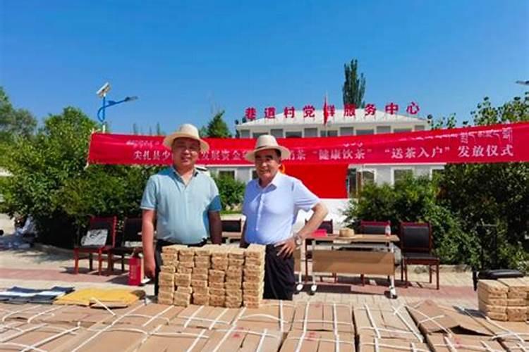 茶叶叶面肥催芽肥的正确使用
