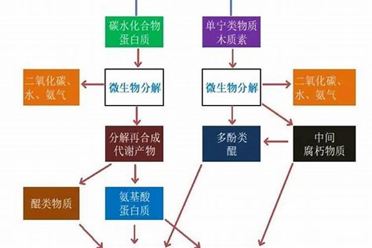 腐植酸、氨基酸、海藻素和鱼蛋白