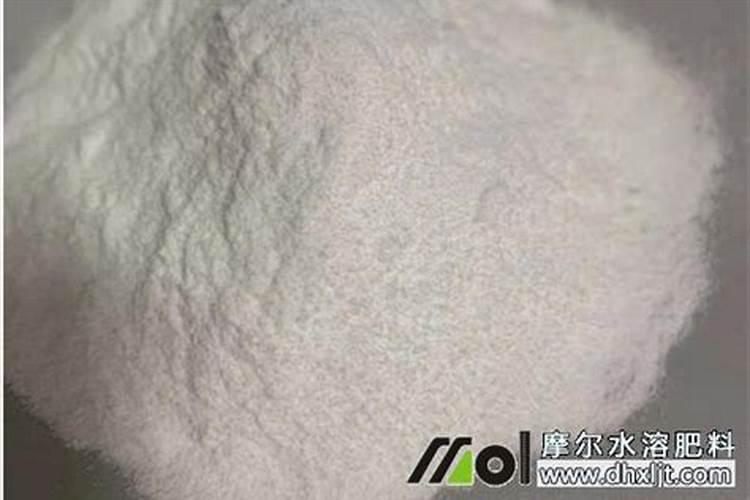 鹤望兰施肥方法及注意事项