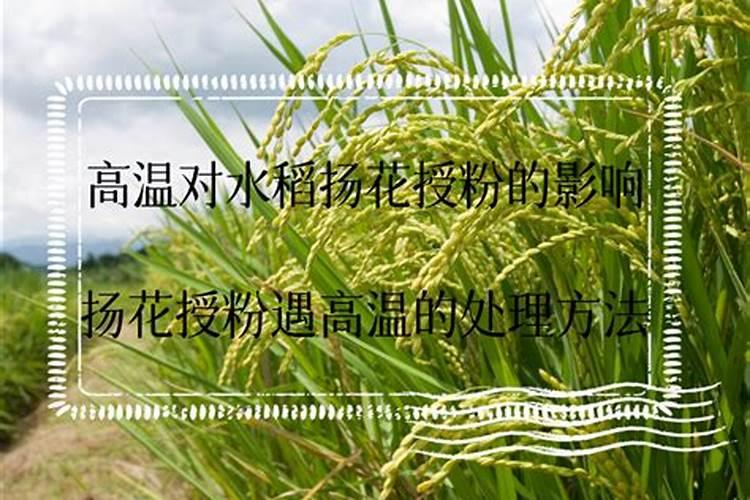 肥料放在地里会被太阳晒蒸发掉吗？
