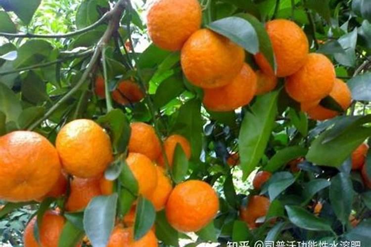 化肥对环境有何污染？