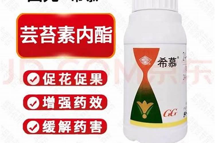 芸苔素内酯使用方法与用量