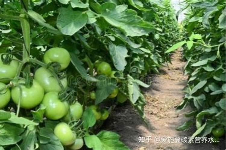 锌肥使用方法