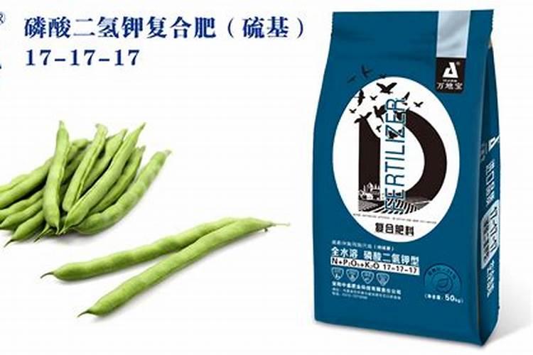 生长栽培过程中芸豆施肥方案总结