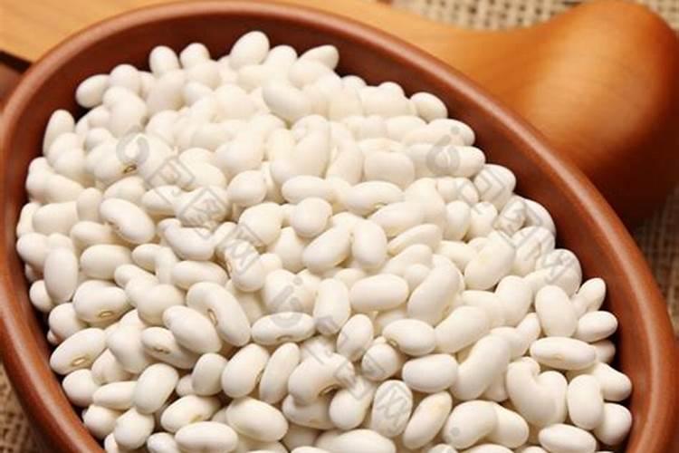 芸豆上什么肥料最好