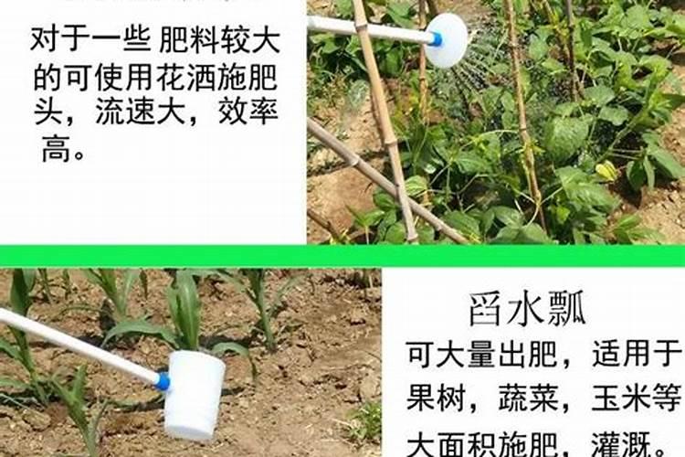 水溶肥施用方式有哪些,如何用效果好