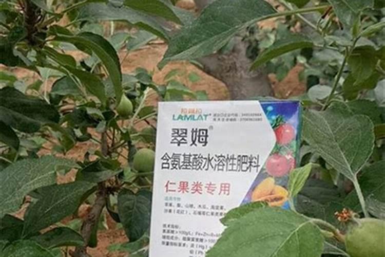芸苔素西瓜灌根的倍数？