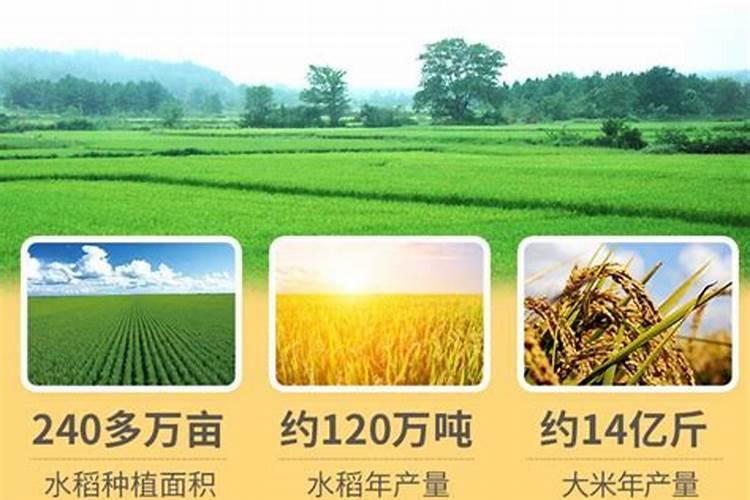 小麦底肥用二铵多少合适