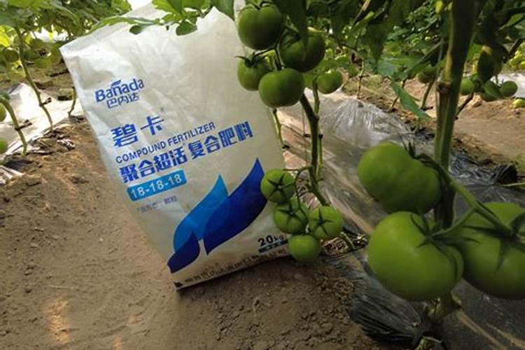 辣椒种植怎样用水溶肥