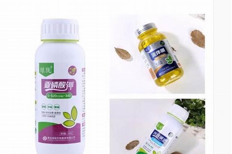 果树施肥不是越多越好