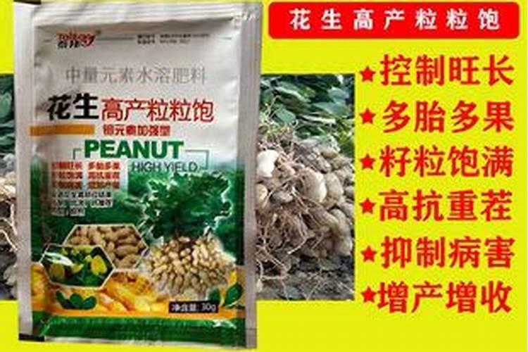 西瓜是夏季的消暑佳品,种植西瓜掌握哪些技巧,能够实现优质高产呢？