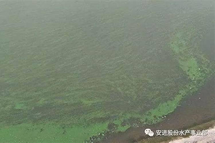 走进朝鲜,很多场景像我们七十年代,让人觉得似曾相识