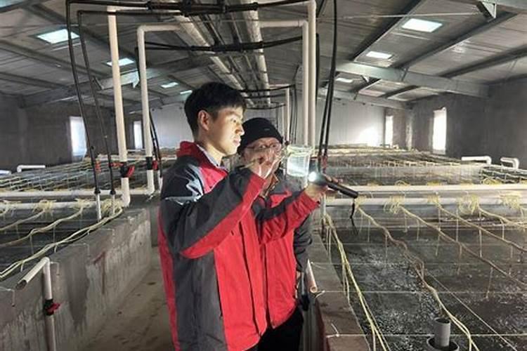 水溶肥的前景真的有那么好吗？