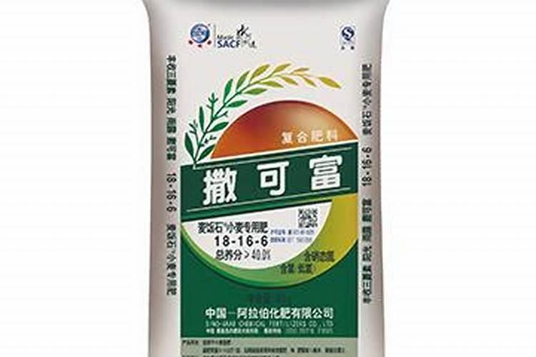 仔姜施肥技巧