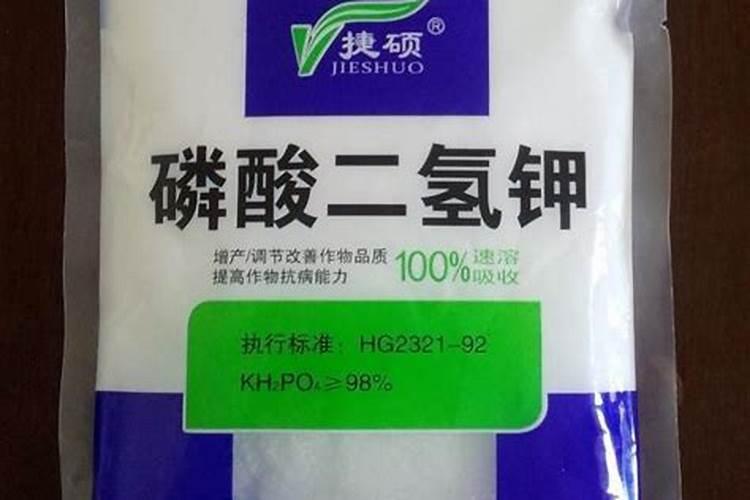 吊兰的最佳肥料