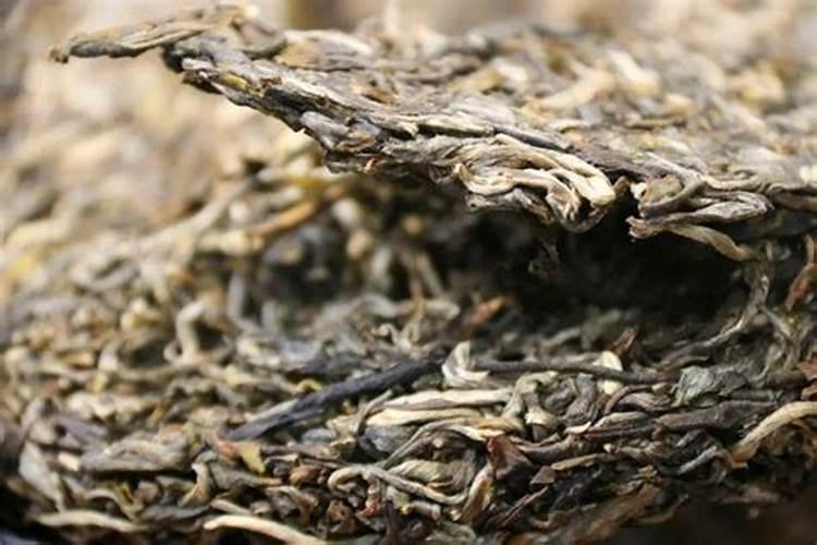 普洱茶能浇花吗