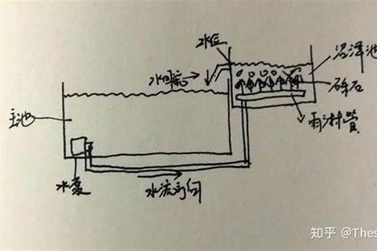 市面上的土豆越来越大,究竟和膨大剂有没有关系？你会吃吗？