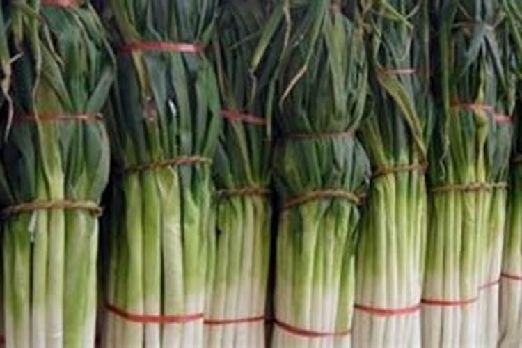 大葱用什么杀菌剂和叶面肥好