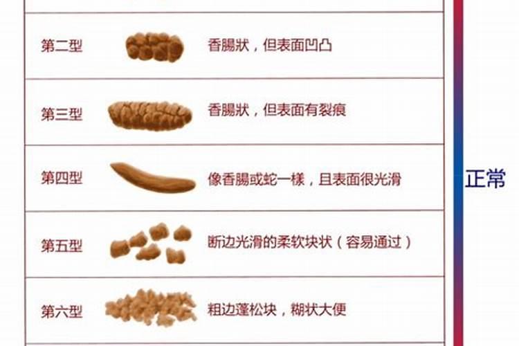 栾树施什么肥最好