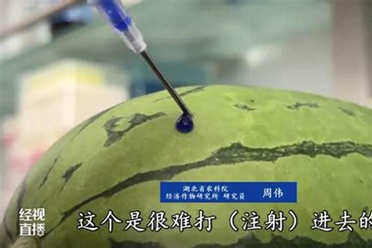 甜瓜苗期可以喷叶面肥吗？