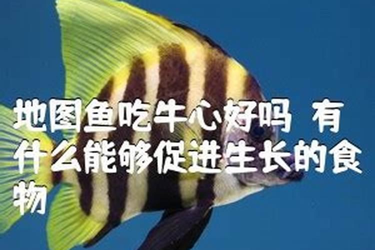鱼蛋白叶面肥功效