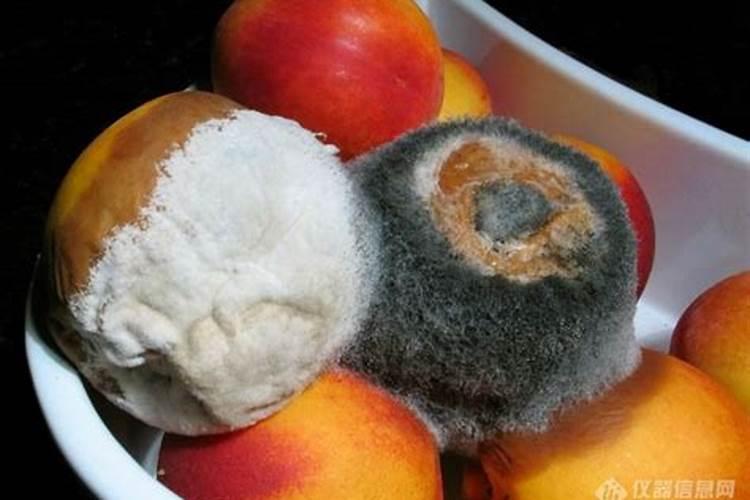 腐殖质的来源与形成