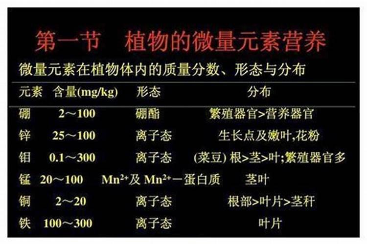 硼钙微量元素在番茄开两台花使用是拿了喷还是浇根？
