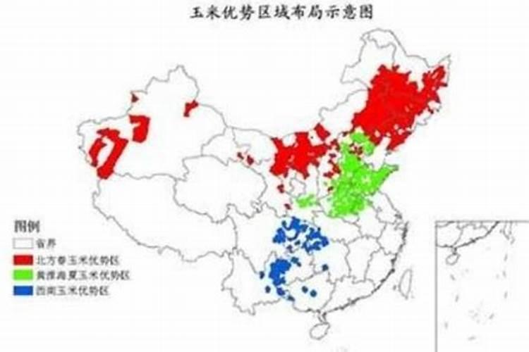 甜菜高效种植技术要点 甜菜养护应该注意什么