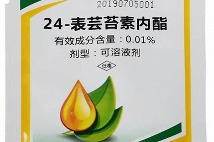 芸苔素能不能喷施在中药材上？