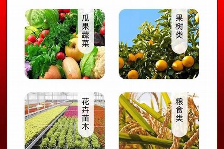 杜鹃花冬天怎么浇水