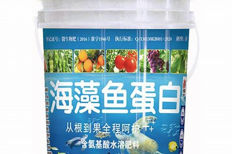 鱼的蛋白质含量高吗
