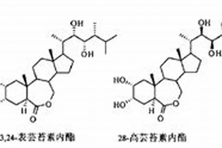 芸苔素内酯哪个厂家好