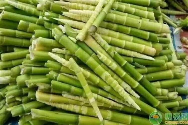 突尼斯软籽石榴种植条件
