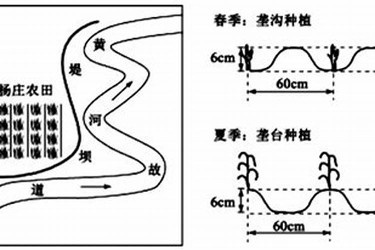 玉米施肥时间和方法
