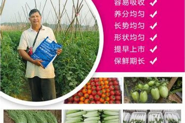 桃子的知识 快!!!我急