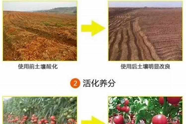 有没有什么化肥促进农作物生长的效果好？