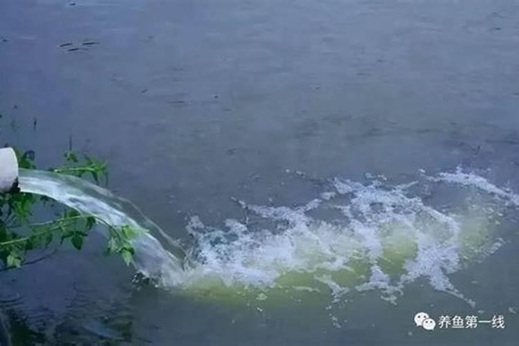 面粉加多少盐杀蓝藻