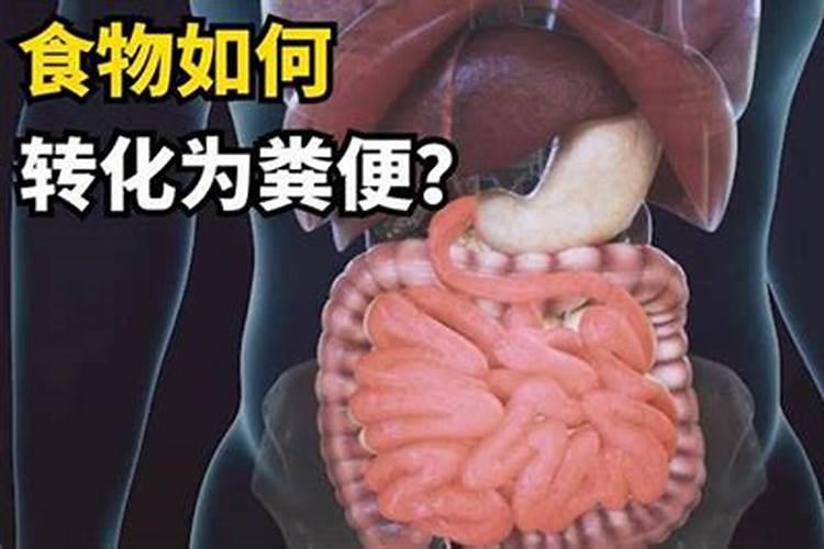 动物粪便哪种更接近磷肥