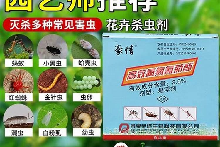 养花土壤要实现杀虫杀菌选什么药最好