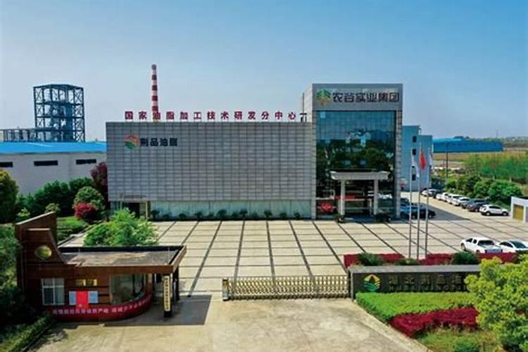 莽吉市是什么水果