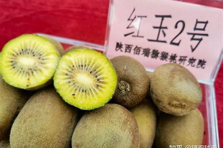 猕猴桃要开始下底肥了,什么配方肥料比较好？