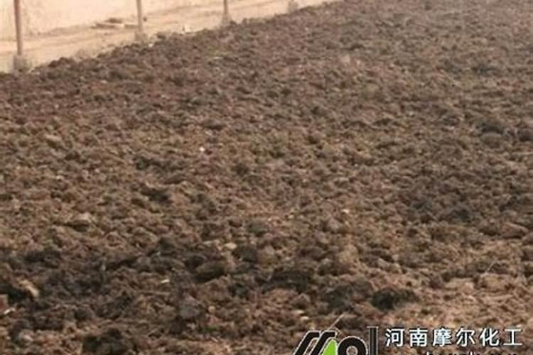 有机肥施肥的最佳时间 有机肥施肥一般在什么时候进行