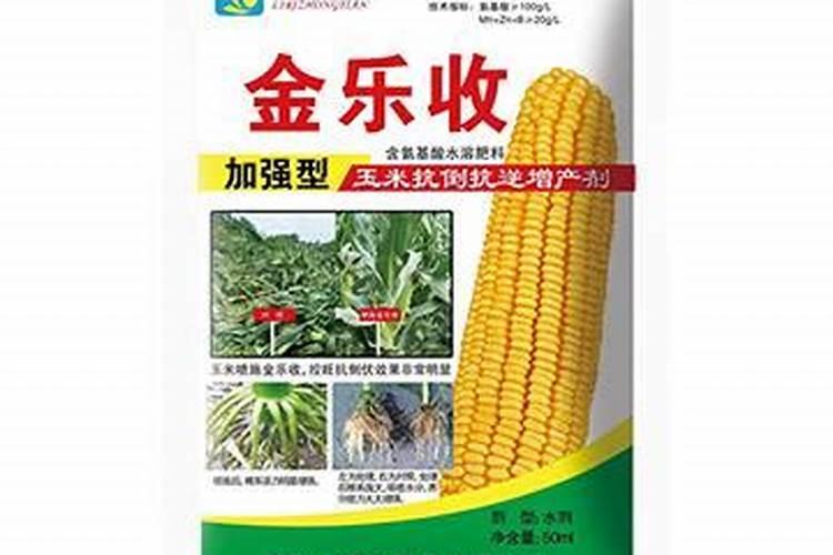 玉米缺硼有哪些防治措施？