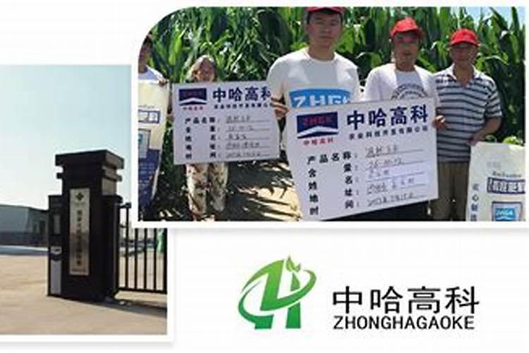 云化嘉吉是什么肥料 我们这来了个卖这化肥的 还送很多东西 这肥料是...