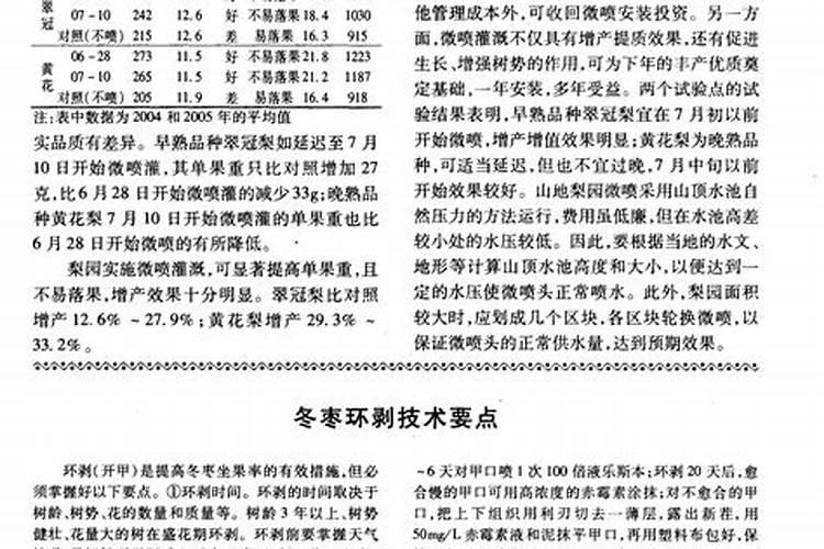 冬枣如何施肥才能高产
