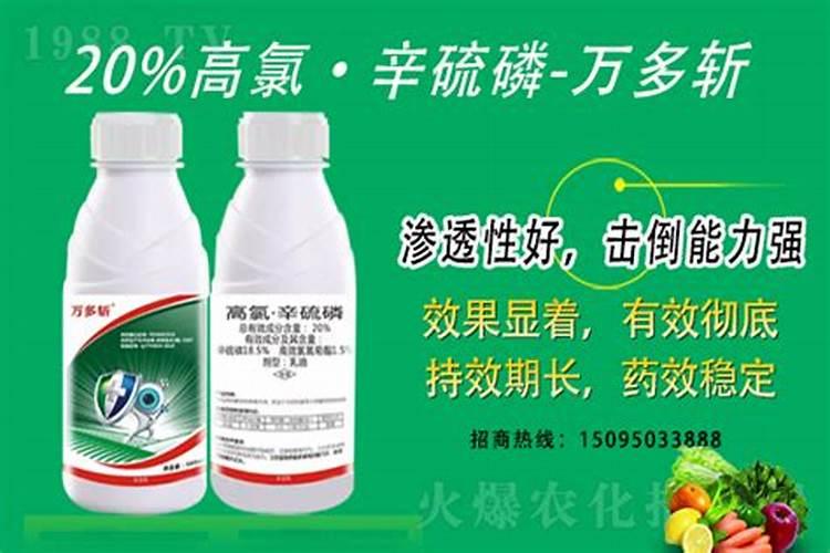 在香蕉各个生长阶段,用药施肥应注意什么？