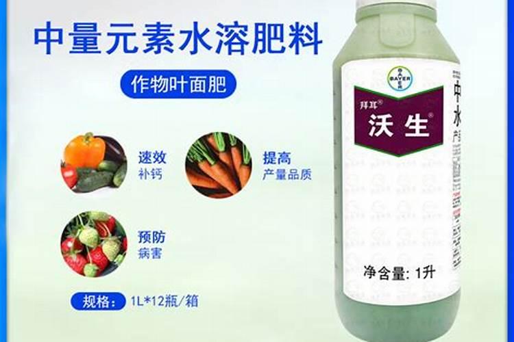 桃树盛花期能打农药吗