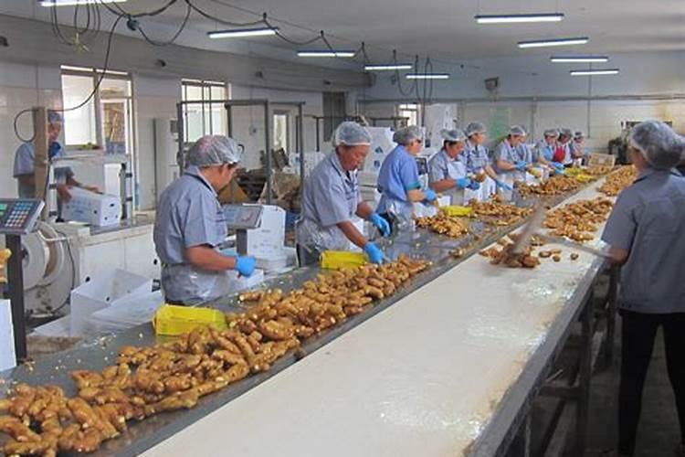 含氨基酸植物vc叶面肥有哪几个品牌