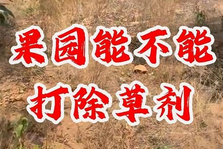 核桃树褐斑病用哪种杀菌剂好